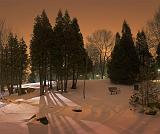 First Light Snowscape_12135-6